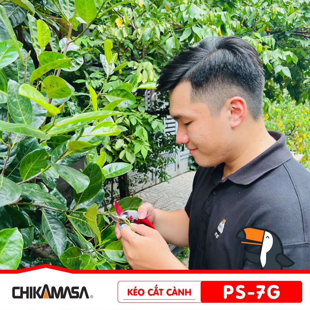 Kéo cắt tỉa cành cây Chikamasa PS-7G