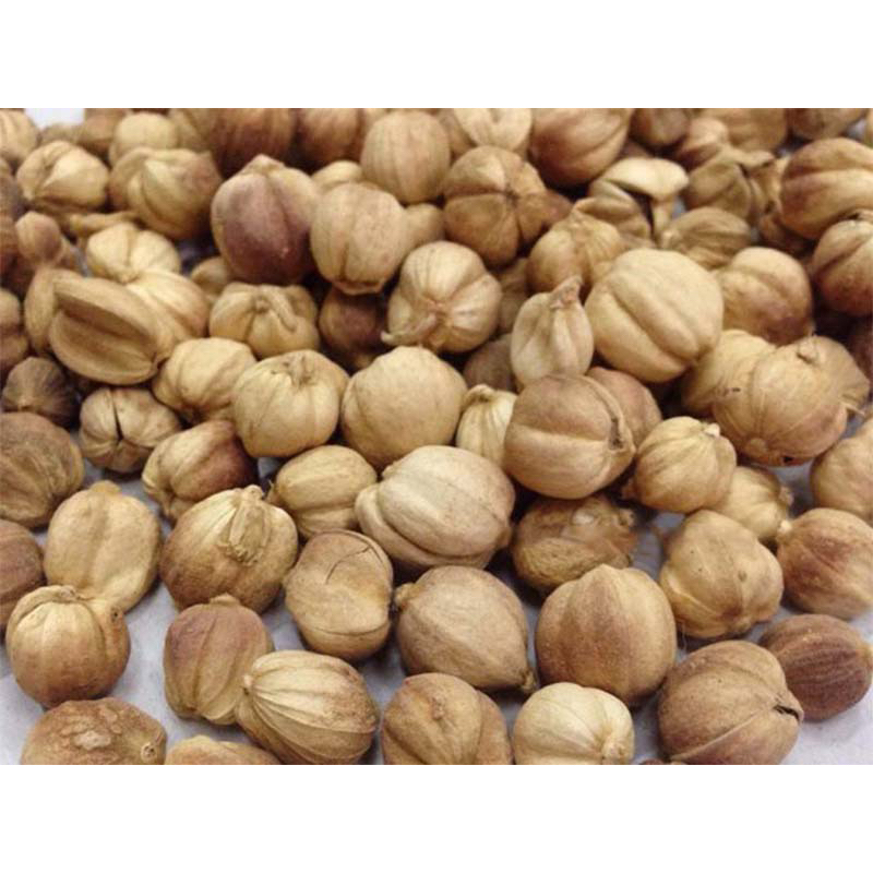 500GR Bạch Đậu Khấu Trắng Làm Gia Vị Nấu Phở, Lẩu Cay Tứ Xuyên Hàng Loại 1