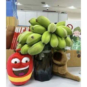 Buồng Chuối Cắm Bình Hoa Thư Giãn Xua Tan Stress - Gắn Kết Đồng Nghiệp