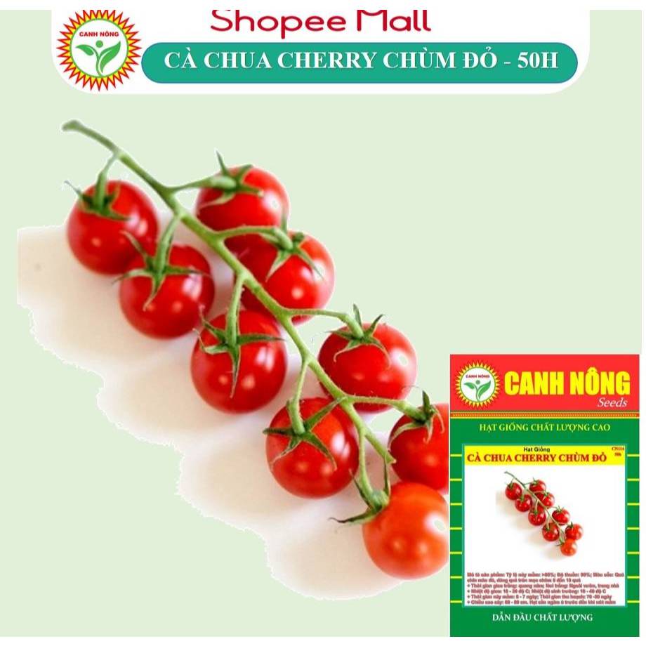 Hạt giống Cà Chua Cherry Chùm Đỏ Lai (0,15g~50 hạt) Sinh Trưởng Vô Hạn, Trồng Quanh Năm - Hạt giống CANH NÔNG
