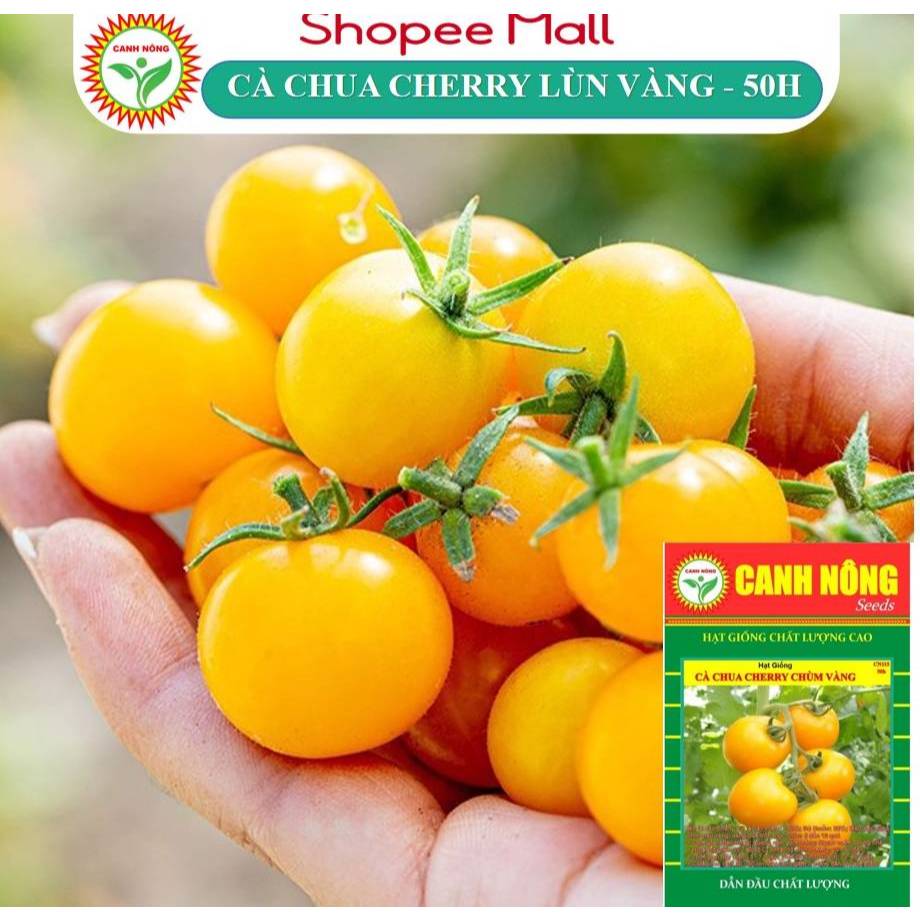 Hạt giống Cà Chua Cherry Chùm Vàng Ngọt Lai (50 Hạt) Sinh Trưởng Khỏe, Trồng Quanh Năm - Hạt giống CANH NÔNG