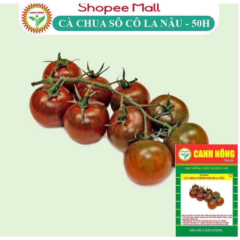 Hạt giống Cà Chua Chùm Socola ÍT CHUA, ÍT HĂNG TRÁI CÂY (0,1g~50 hạt) Không Giới Hạn Leo Giàn - Hạt giống CANH NỐNG