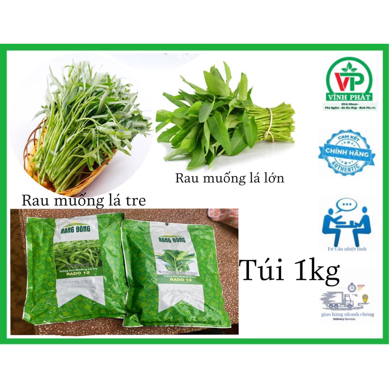 HẠT GIỐNG RAU MUỐNG (lá tre, lá lớn) túi 1kg | Shopee Việt Nam