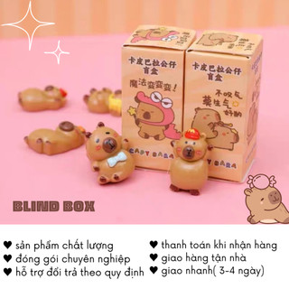Blind Box Capybara Chiikawa Hộp Mù Test Nhân Phẩm Quà Tặng Kiểm Tra Độ May Mắn Giá Rẻ Timo QT67