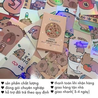 Card Capybara Loopy Chiikawa Lomo Hologram 50 Tấm Hình Bo Góc Cute Timo QT68