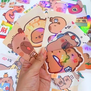 Card Capybara Loopy Chiikawa Lomo Hologram 50 Tấm Hình Bo Góc Cute Timo QT68