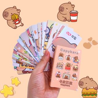 Card Capybara Loopy Chiikawa Lomo Hologram 50 Tấm Hình Bo Góc Cute Timo QT68