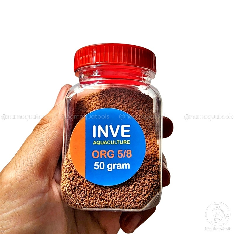Cám Thái INVE nhiều size [hộp 50gr] - Thức ăn Dành cho cá bảy màu, neon,  beta... | Shopee Việt Nam