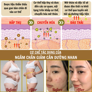 Ngâm chân giảm cân dưỡng nhan Fengcha giảm mỡ phù nề tích tụ ở chân, đùi , bụng , dưỡng hồng da mặt
