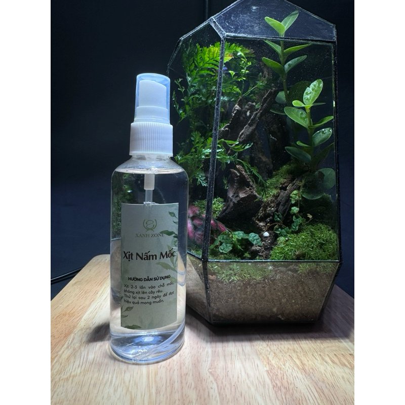 Xịt chống mốc cho bể terrarium, cung cấp thêm vi sinh cho rêu, bể ...