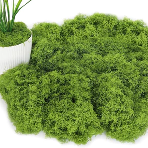 Cỏ xanh gói 100-200g Cỏ rêu sợi nhân tạo phủ chậu cây, trang trí bồn hoa, tường studio S0278