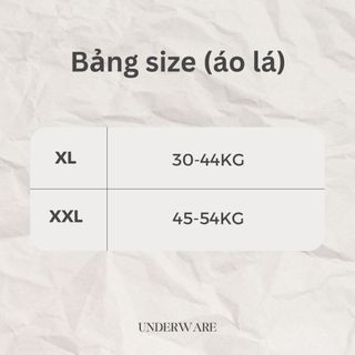 COMBO 3 Áo lót học sinh dây bản to không đệm mút hai lớp chống lộ họa tiết thỏ cute DEVARI B8574