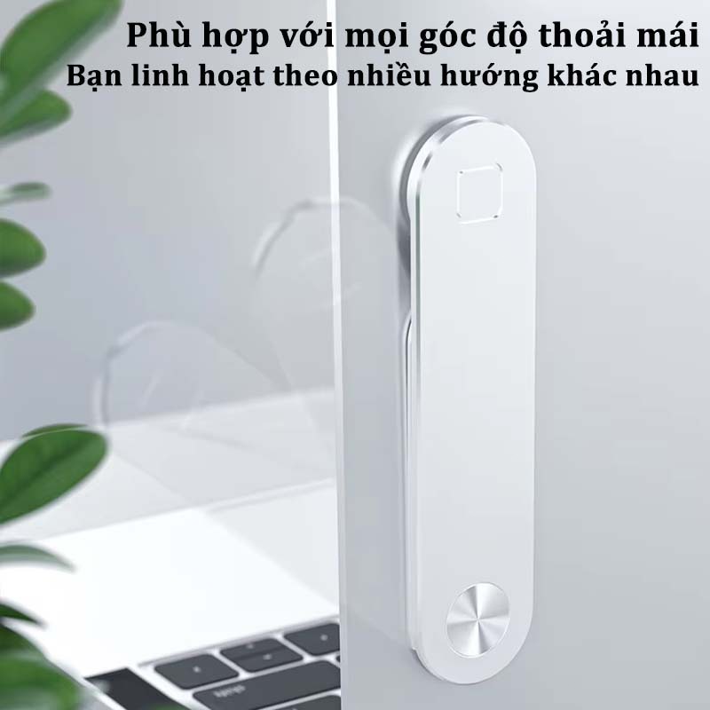 Ảnh 5