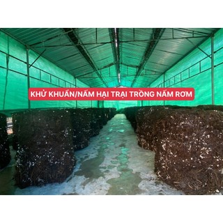 Combo 5 Bột Tẩy Rong Rêu (500g/Bịch) Trên Nền Sân Xi Măng, Hoàn Tiền 100% Nếu Không Sạch