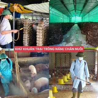 Combo 5 Bột Tẩy Rong Rêu (500g/Bịch) Trên Nền Sân Xi Măng, Hoàn Tiền 100% Nếu Không Sạch