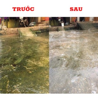 Combo 5 Bột Tẩy Rong Rêu (500g/Bịch) Trên Nền Sân Xi Măng, Hoàn Tiền 100% Nếu Không Sạch