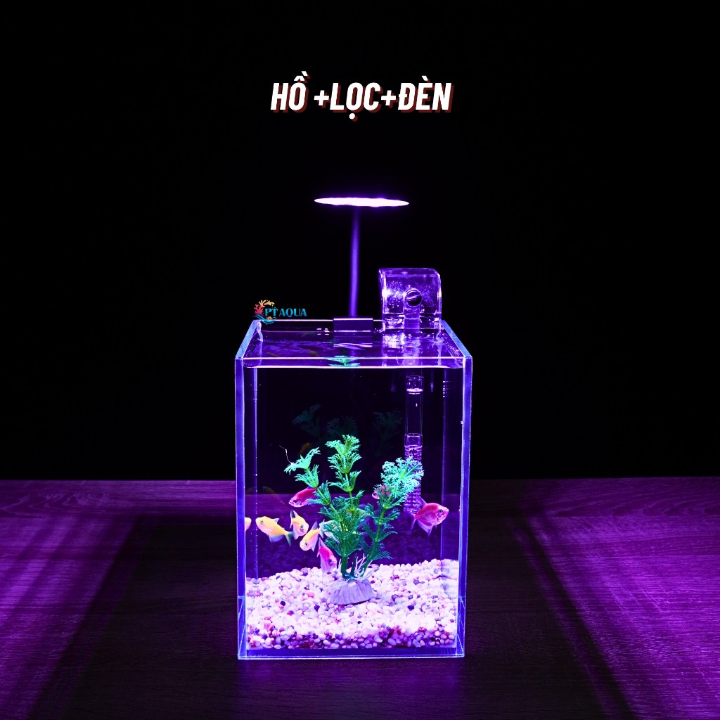 Bể Cá Mini PT AQUA 15x15x20cm Kính 5ly Phù Hợp Nuôi Cá Mini Để Bàn hoặc