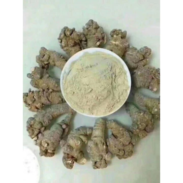 bột tam thất 100g -200g -300g