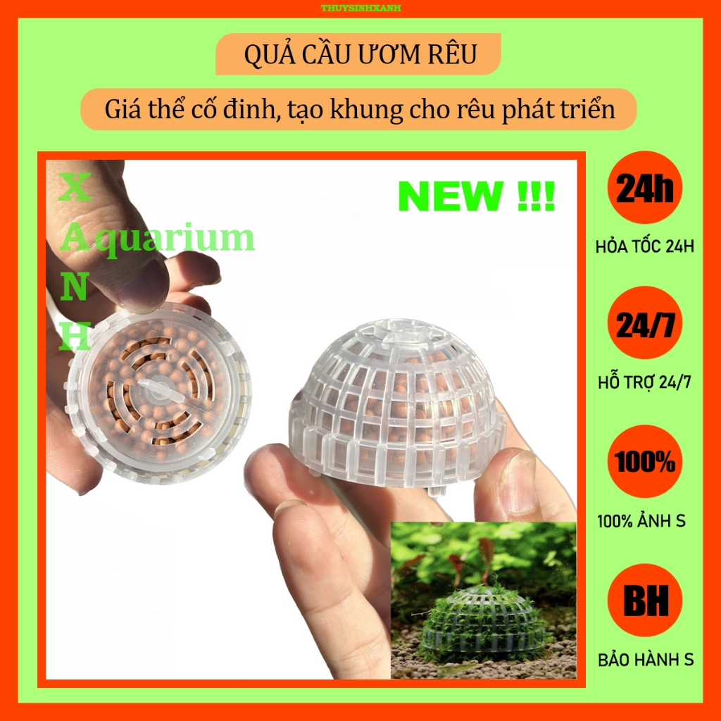 Qủa cầu ươm rêu trang trí hồ cá cảnh thủy sinh | Shopee Việt Nam
