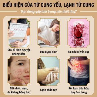Ngâm chân thảo dược Fengcha ôn ấm tử cung, chống suy giáp, ổn định chu kỳ kinh,giảm chứng ớn lạnh toát mồ hôi hột