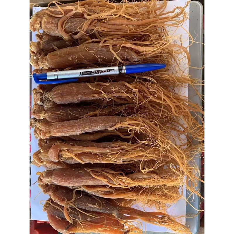500GR Nhị Hồng Sâm, Sâm Râu, Nhân Sâm Sấy Dẻo Nguyên Chất Hàng Chất Lượng