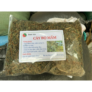 500g Cây Bọ Mắm KHÔ ( Cây Dòi Tía ) Cây Dòi Thân Tím. Chữa Ho, Viêm Họng, Phế Quản…