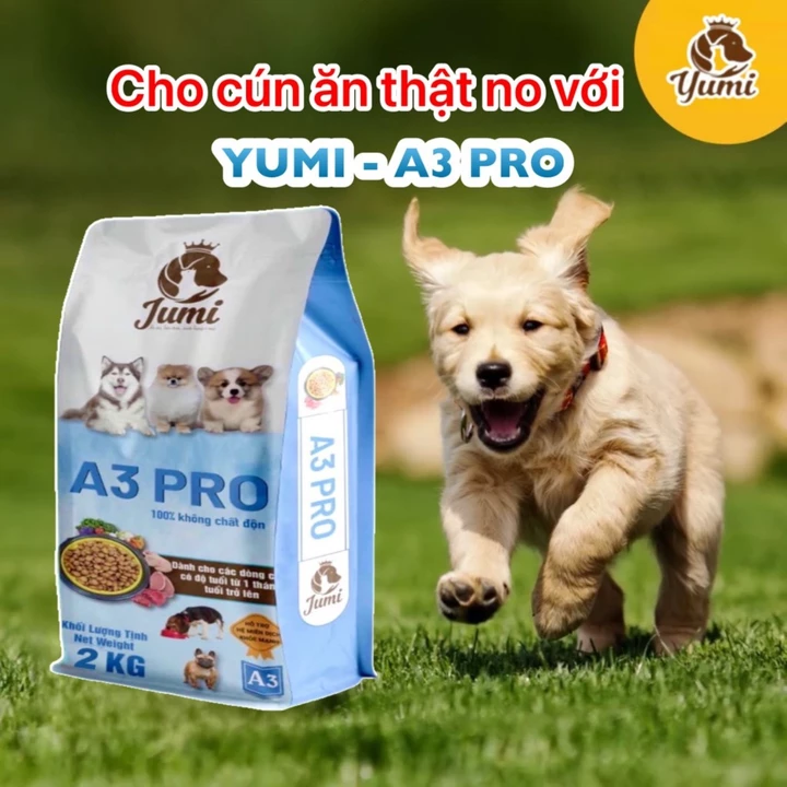 Hạt cho chó YuMi A3 Pro thức ăn hạt cho chó chứa dầu cá hồi cho cún đầy đủ dinh dưỡng phù hợp mọi độ tuổi mọi giống chó – 3