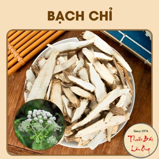 Bạch chỉ 100g, khô, thái lát mỏng, trắng, thơm, không tẩy trắng - Lãn Ông
