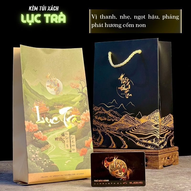 Lục Trà Shan Tuyết Cổ Thụ Thượng Hạng HOÀNG ĐAN TEA Hộp Quà Biếu Tặng ...