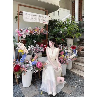 Đầm thời trang chất vải voan chiffon may hai lớp cổ tim áo sát tay from váy dài sang trọng thích hợp đi tiệc