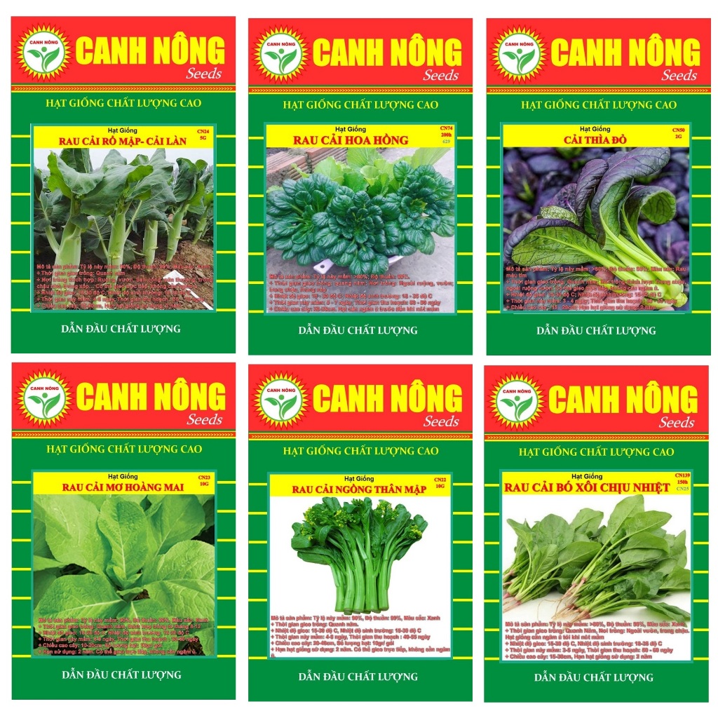 Hạt giống Rau Cải nảy mầm tốt, sinh trưởng khỏe, Rau Củ Quả trồng quanh năm - Hạt giống