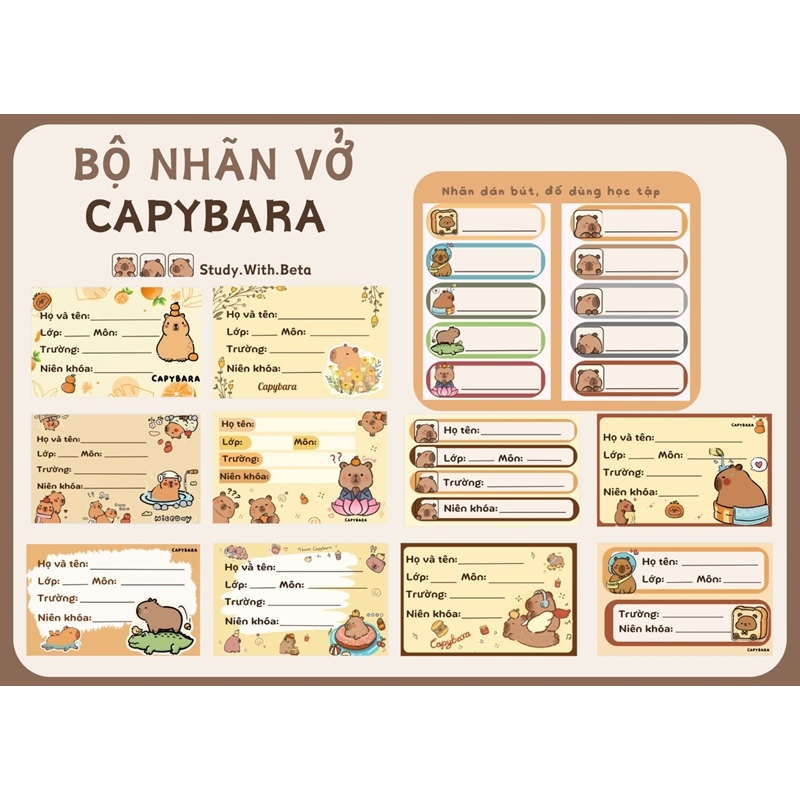 Set 20 nhãn vở bóc dán dễ thương (kèm tag dán thước, bút) hình LOOPY ...