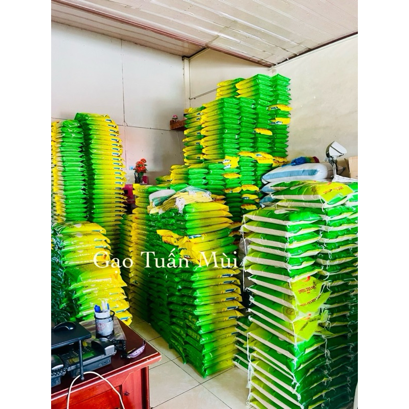 Gạo Tám Xoan Hải Hậu (Bao 10ky)