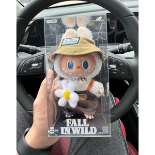 新品未開封 LABUBU FALL IN WILD Unboxing Labubu Fall in Wild | Mei - YouTube