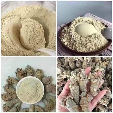 bột tam thất 100g -200g -300g