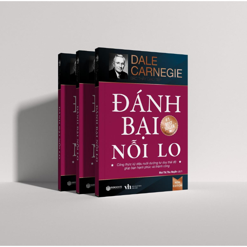 Sách - Đánh Bại Nỗi Lo - SBOOKS chính hãng