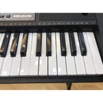 (ẢNH THẬT) Đàn organ, đàn piano điện tử BEEMI 61 phím cao cấp, đàn luyện ngón cho người mới tập, đàn piano cho bé — ảnh 4