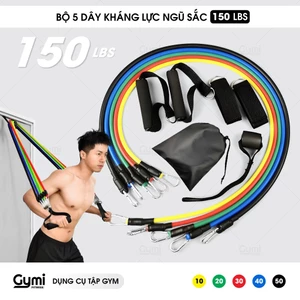 Bộ 5 Dây Ngũ Sắc Kháng Lực Nặng Đô Tập Thể Hình Toàn Thân Kèm Neo Cửa, Đá Đùi - NguSac150LBS