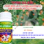 Phân bón lá vi lượng AC ZINMAC - Lớn trái Đặc Ruột (chai 100ml)