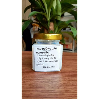 Combo keo dưỡng màng loa, dưỡng gân loa loại đặc biệt dung tích 50ml tặng kèm chổi cọ