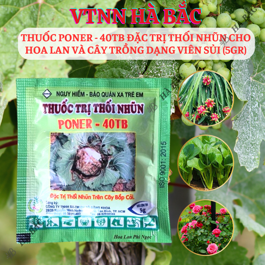 Chế phẩm xử lí thối nhũn Poner - 40TB, xương mai đốm thân cho hoa lan và cây trồng dạng viên sủi (5gram)