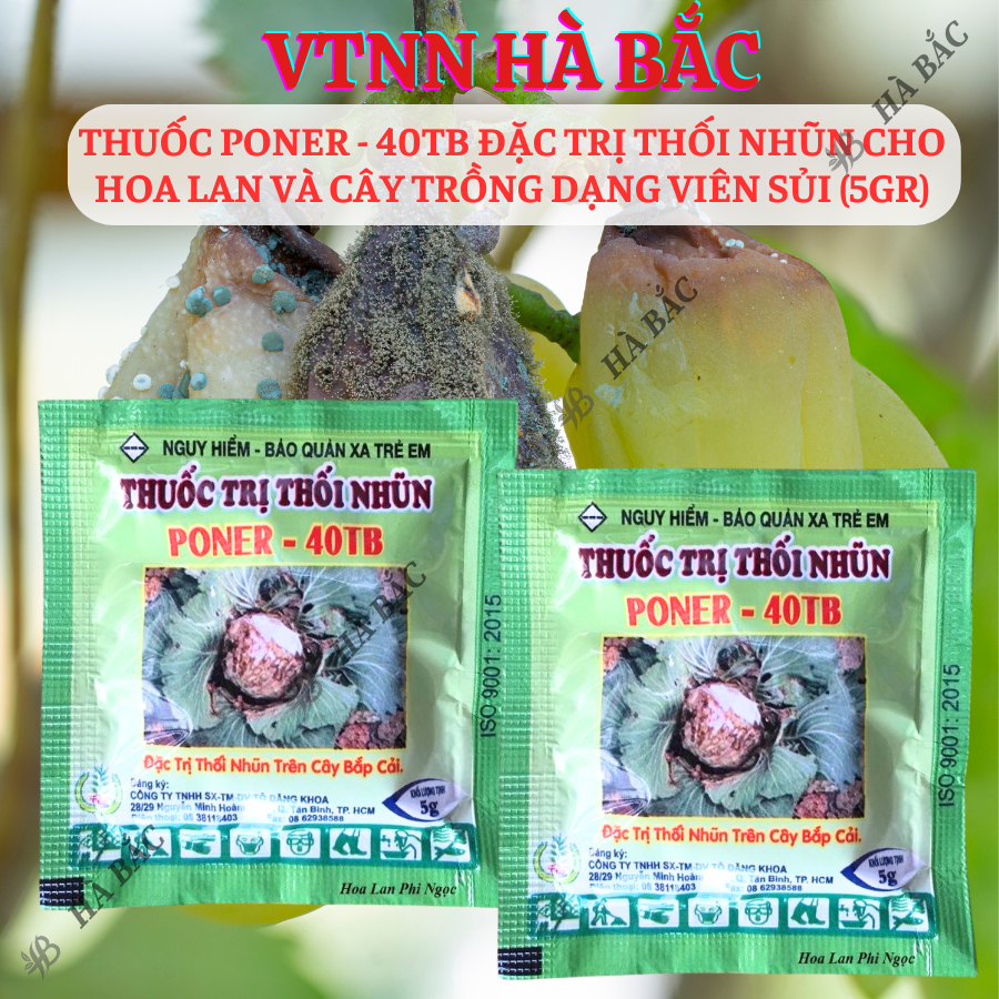 Chế phẩm xử lí thối nhũn Poner - 40TB, xương mai đốm thân cho hoa lan và cây trồng dạng viên sủi (5gram)