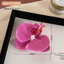 Kẹp cài tóc hoa Lan hồ điệp ( sẵn hàng)