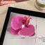 Kẹp cài tóc hoa Lan hồ điệp ( sẵn hàng)