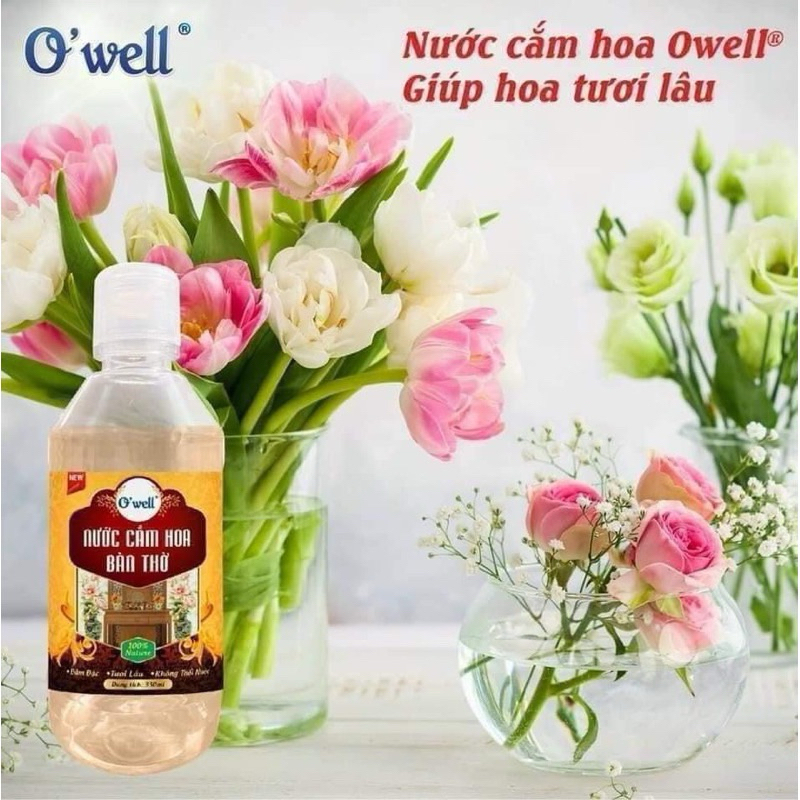 NƯỚC DƯỠNG CẮM HOA O”well 300ML - VPP QUỐC HUY