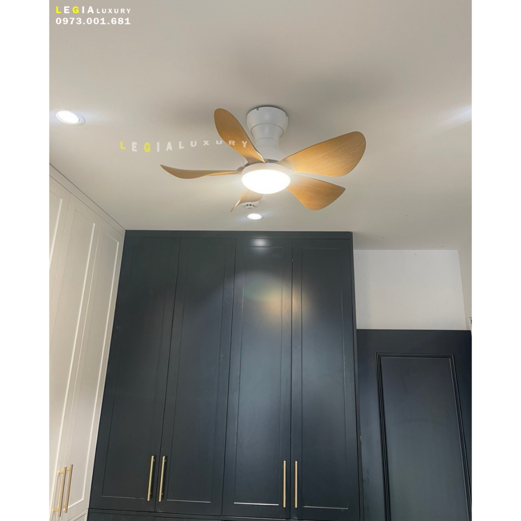 Ảnh Quạt Trần Mini Có Đèn Lê Gia LGFAN650 - Chiều Cao 23cm - Sải Cánh 73cm - Bảo Hành 5 Năm 4