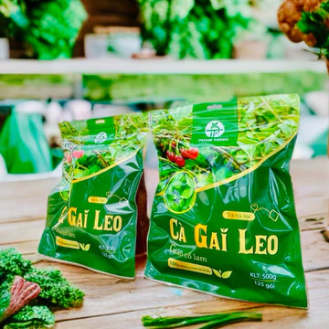 1kg trà cà gai leo giảo cổ lam - thơm ngon dễ uống - mua 1kg được tặng quà