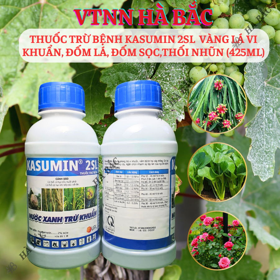 Chế phẩm xử lí nấm benhh Kasumin 2SL, vàng lá vi khuẩn, đốm lá, đốm sọc, thối nhũn (425ml)