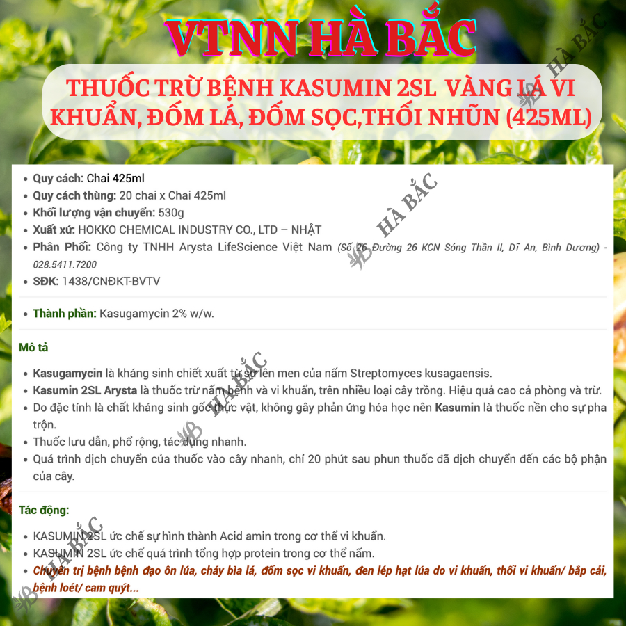Chế phẩm xử lí nấm benhh Kasumin 2SL, vàng lá vi khuẩn, đốm lá, đốm sọc, thối nhũn (425ml)