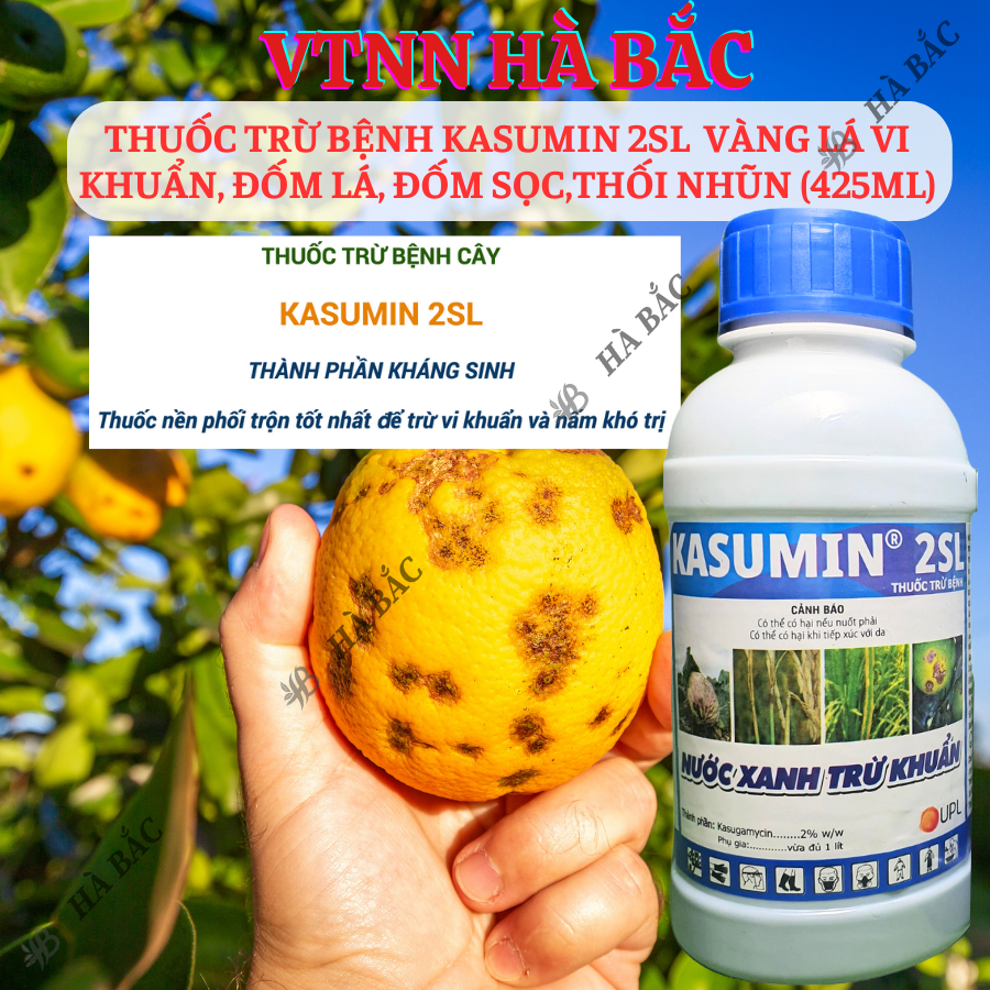 Chế phẩm xử lí nấm benhh Kasumin 2SL, vàng lá vi khuẩn, đốm lá, đốm sọc, thối nhũn (425ml)
